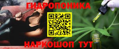 Альфа ПВП Комсомольск-на-Амуре