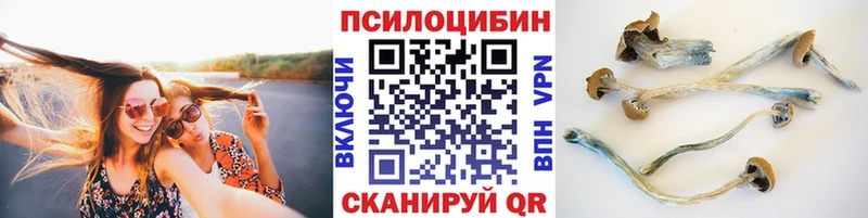 Галлюциногенные грибы GOLDEN TEACHER OMG сайт Янаул